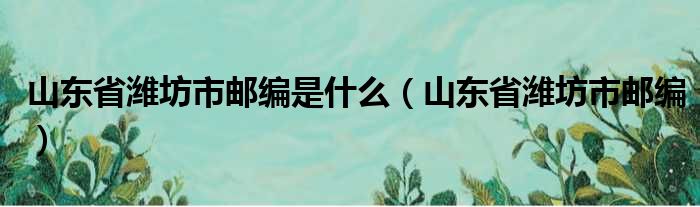 山东省潍坊市邮编是什么（山东省潍坊市邮编）