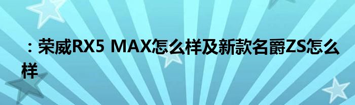 ：荣威RX5 MAX怎么样及新款名爵ZS怎么样