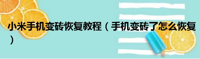 小米手机变砖恢复教程（手机变砖了怎么恢复）