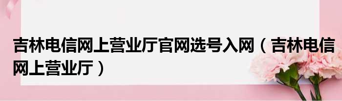 吉林电信网上营业厅官网选号入网（吉林电信网上营业厅）