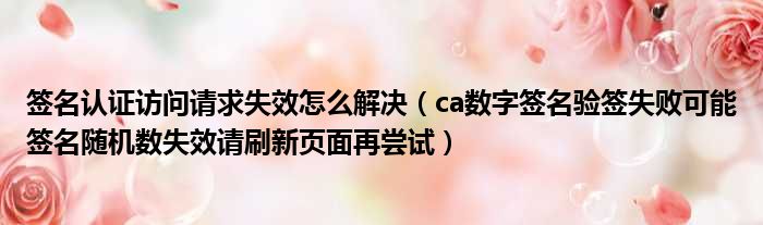 签名认证访问请求失效怎么解决（ca数字签名验签失败可能签名随机数失效请刷新页面再尝试）