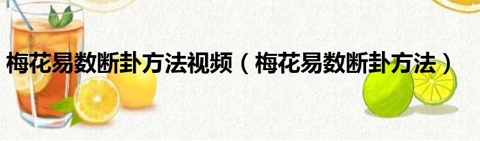 梅花易数断卦方法视频（梅花易数断卦方法）