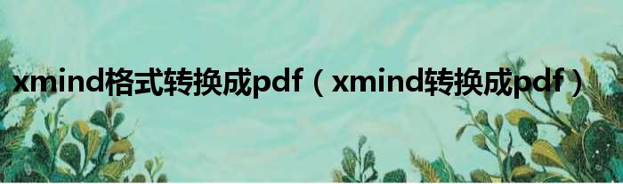 xmind格式转换成pdf（xmind转换成pdf）