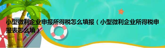 小型微利企业申报所得税怎么填报（小型微利企业所得税申报表怎么填）