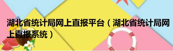 湖北省统计局网上直报平台（湖北省统计局网上直报系统）