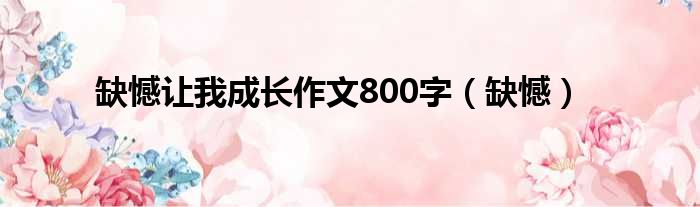 缺憾让我成长作文800字（缺憾）