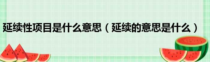 延续性项目是什么意思（延续的意思是什么）