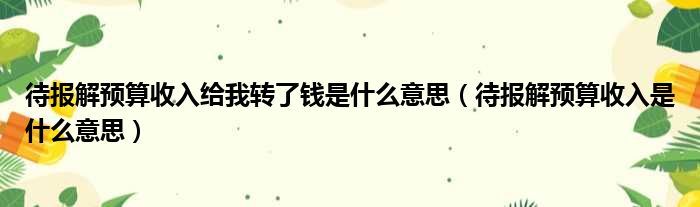 待报解预算收入给我转了钱是什么意思（待报解预算收入是什么意思）