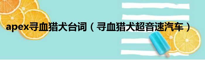 apex寻血猎犬台词（寻血猎犬超音速汽车）