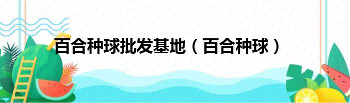 百合种球批发基地（百合种球）