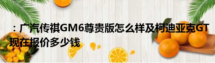 ：广汽传祺GM6尊贵版怎么样及柯迪亚克GT现在报价多少钱