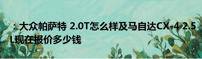 ：大众帕萨特 2.0T怎么样及马自达CX-4 2.5L现在报价多少钱