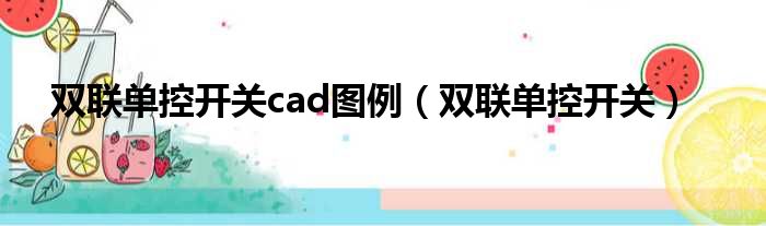 双联单控开关cad图例（双联单控开关）