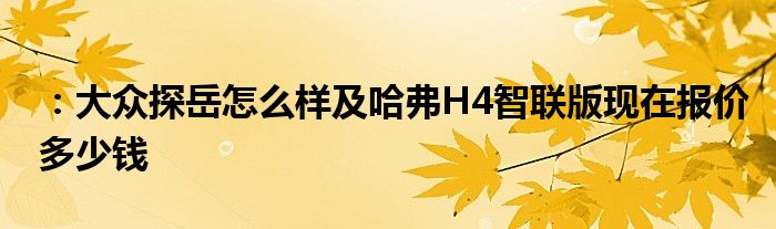 ：大众探岳怎么样及哈弗H4智联版现在报价多少钱