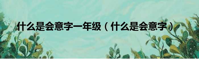 什么是会意字一年级（什么是会意字）