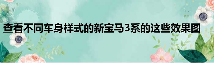 查看不同车身样式的新宝马3系的这些效果图