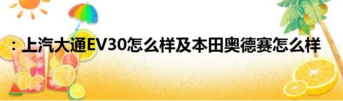 ：上汽大通EV30怎么样及本田奥德赛怎么样