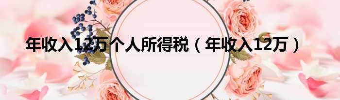 年收入12万个人所得税（年收入12万）