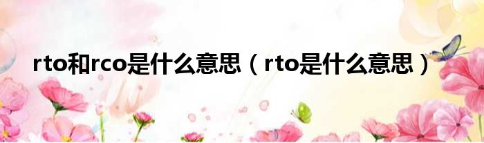 rto和rco是什么意思（rto是什么意思）