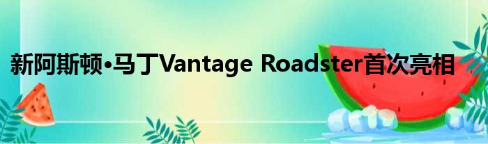 新阿斯顿·马丁Vantage Roadster首次亮相