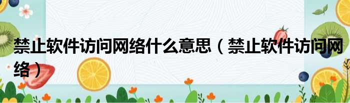 禁止软件访问网络什么意思（禁止软件访问网络）