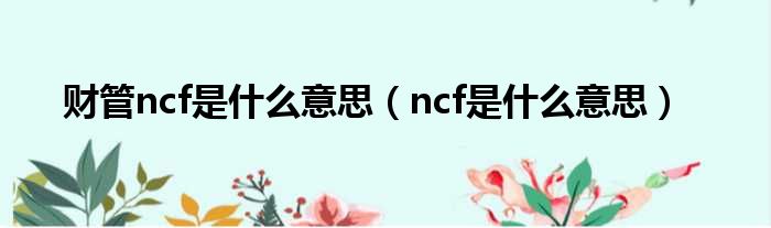 财管ncf是什么意思（ncf是什么意思）