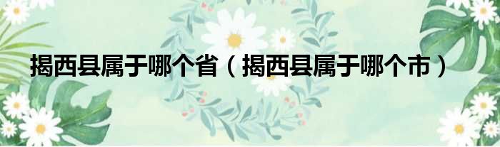 揭西县属于哪个省（揭西县属于哪个市）