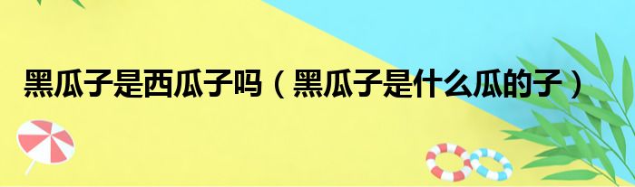 黑瓜子是西瓜子吗（黑瓜子是什么瓜的子）