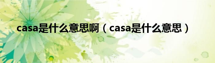 casa是什么意思啊（casa是什么意思）