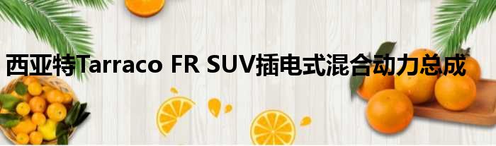 西亚特Tarraco FR SUV插电式混合动力总成