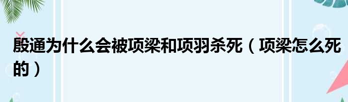 殷通为什么会被项梁和项羽杀死（项梁怎么死的）