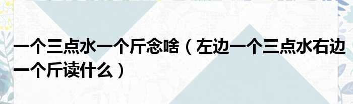 一个三点水一个斤念啥（左边一个三点水右边一个斤读什么）