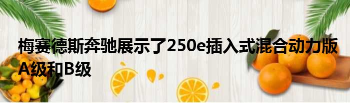 梅赛德斯奔驰展示了250e插入式混合动力版A级和B级