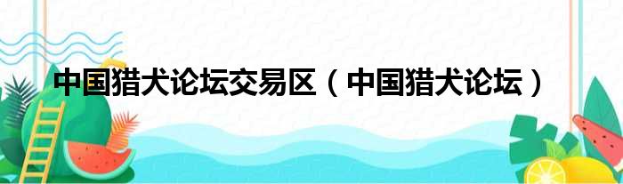 中国猎犬论坛交易区（中国猎犬论坛）