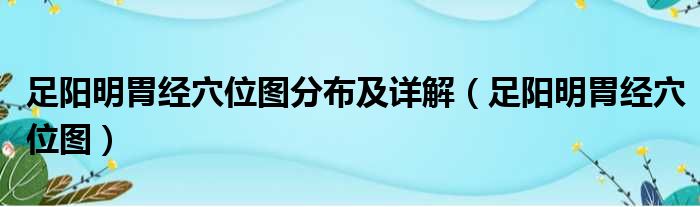 足阳明胃经穴位图分布及详解（足阳明胃经穴位图）