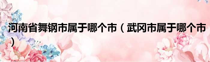 河南省舞钢市属于哪个市（武冈市属于哪个市）