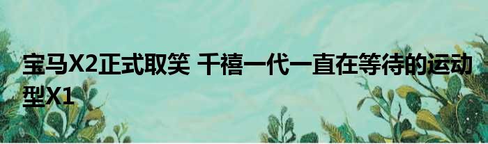 宝马X2正式取笑 千禧一代一直在等待的运动型X1