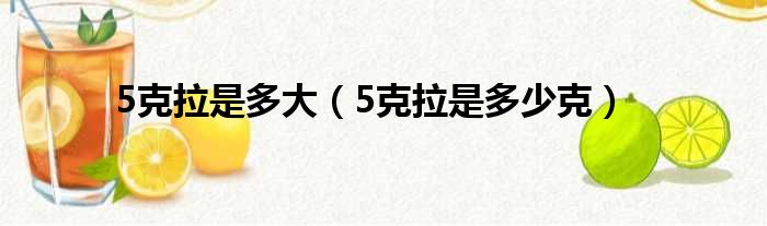 5克拉是多大（5克拉是多少克）