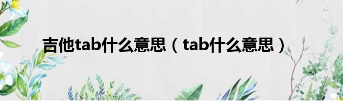 吉他tab什么意思（tab什么意思）