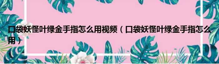 口袋妖怪叶绿金手指怎么用视频（口袋妖怪叶绿金手指怎么用）