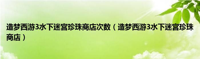 造梦西游3水下迷宫珍珠商店次数（造梦西游3水下迷宫珍珠商店）