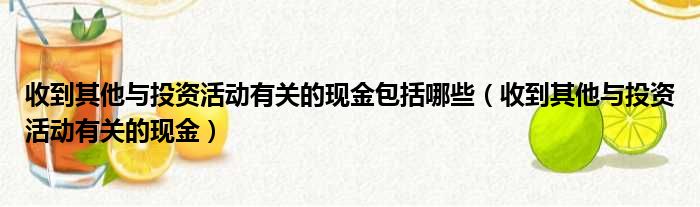 收到其他与投资活动有关的现金包括哪些（收到其他与投资活动有关的现金）