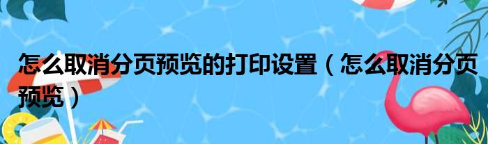 怎么取消分页预览的打印设置（怎么取消分页预览）