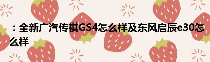 ：全新广汽传祺GS4怎么样及东风启辰e30怎么样