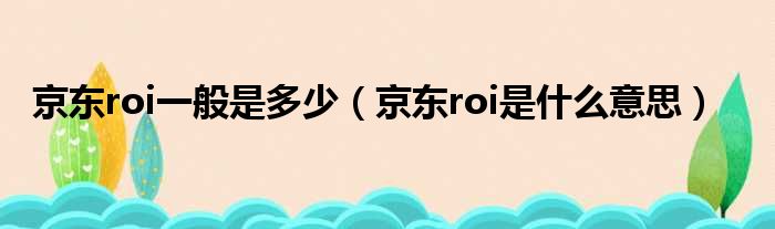 京东roi一般是多少（京东roi是什么意思）