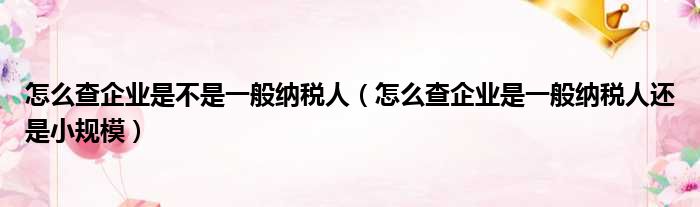 怎么查企业是不是一般纳税人（怎么查企业是一般纳税人还是小规模）