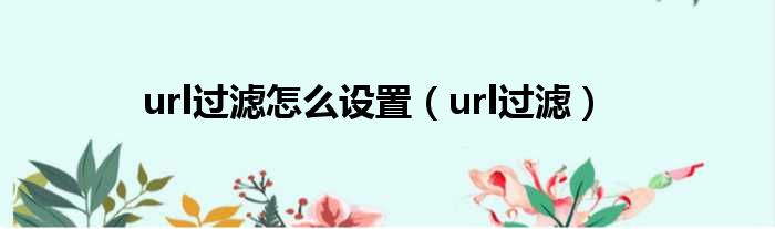 url过滤怎么设置（url过滤）