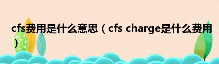 cfs费用是什么意思（cfs charge是什么费用）