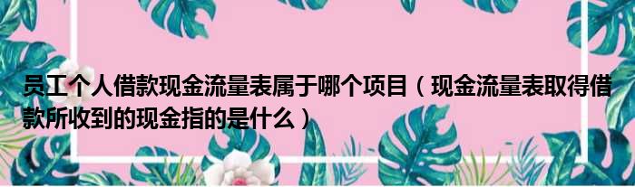 员工个人借款现金流量表属于哪个项目（现金流量表取得借款所收到的现金指的是什么）