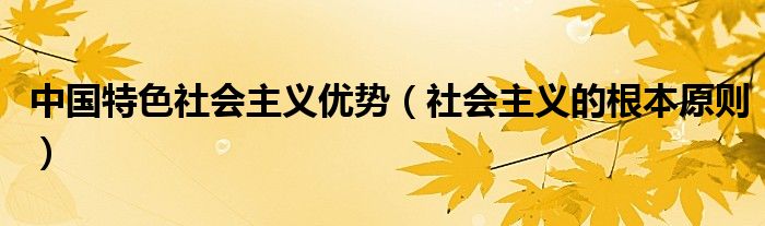 中国特色社会主义优势（社会主义的根本原则）